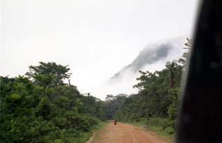 Morning in the Cameroun Jungle