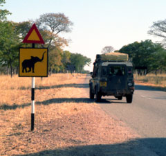 Elephant Crossing Sign