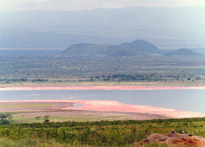 lake elmenteita