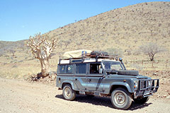 The truck and baobab tree